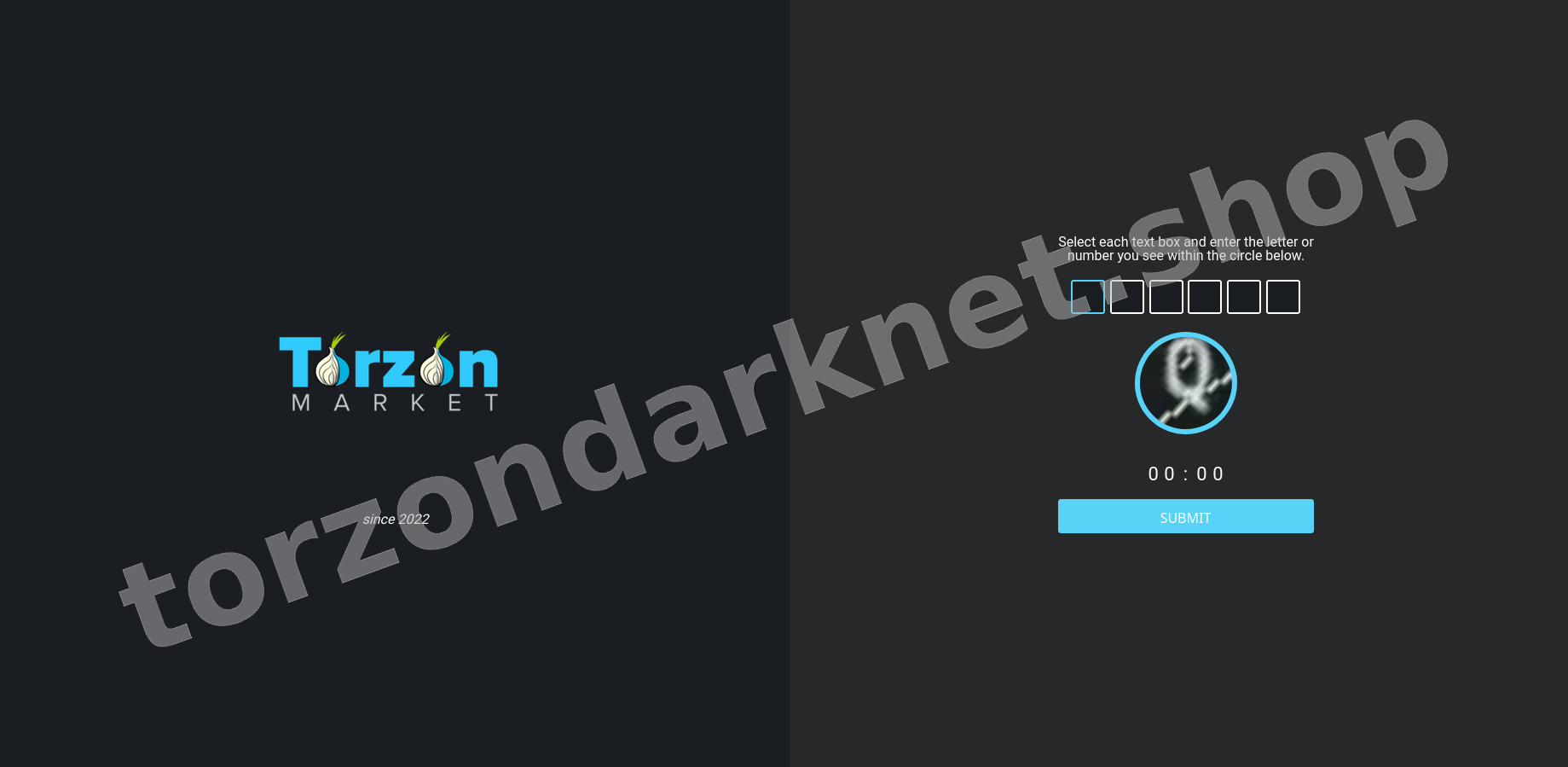 Torzon DDoS Protection Challenge