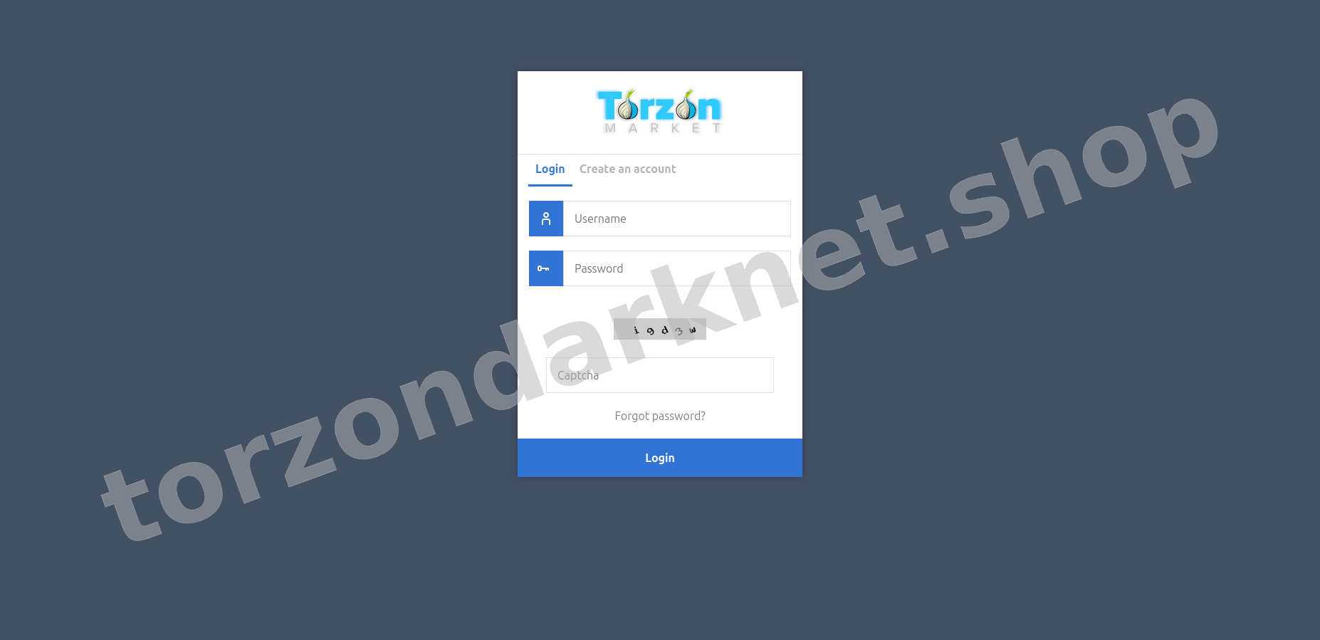 Torzon Secure Login